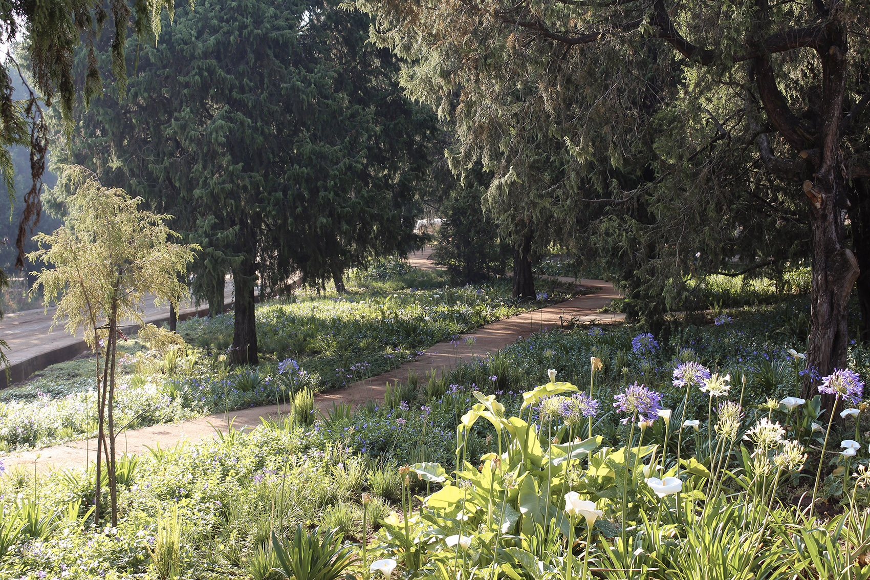 埃塞俄比亚梅莱斯·泽纳维纪念公园丨Studio Other Spaces-22