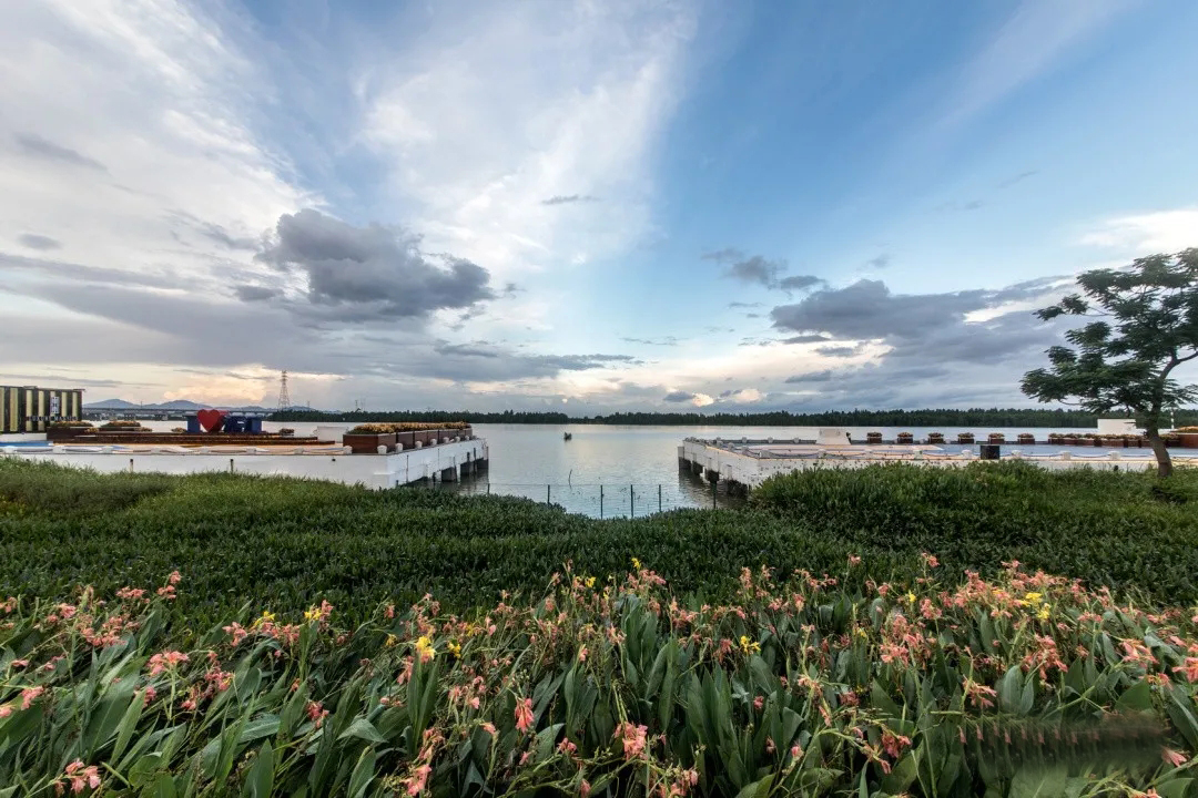 江门大华博富·御潭江示范区景观-19