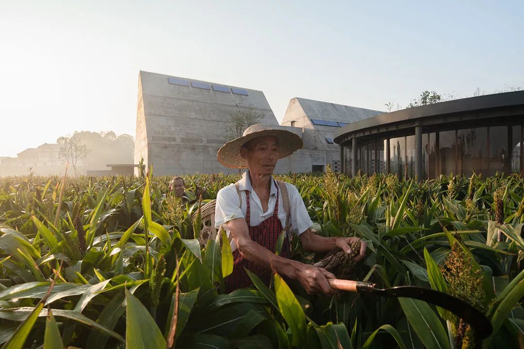江小白乡村俱乐部 | 现代建筑与自然的共生-35