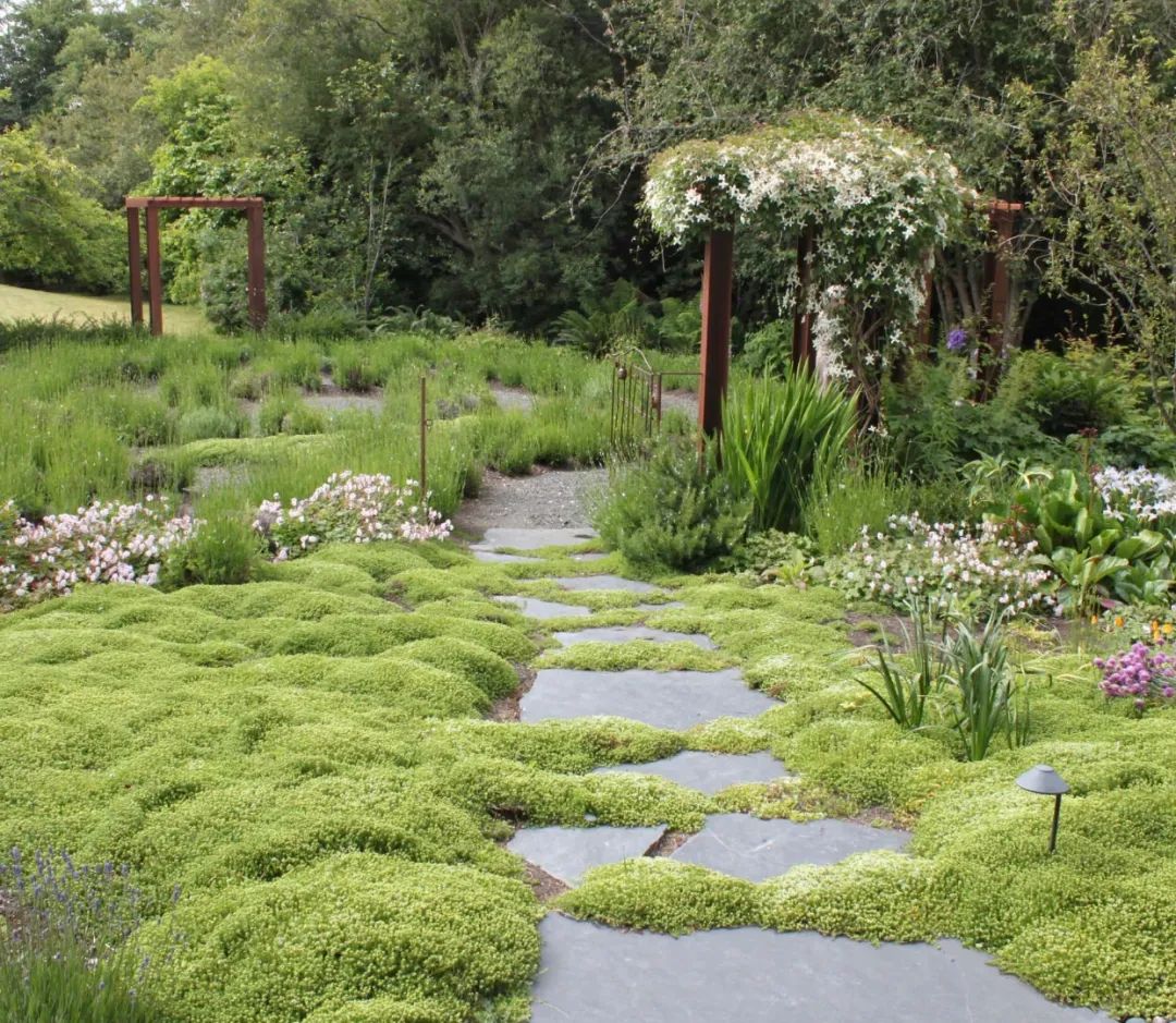 诗意庭院，慢生活享受-1