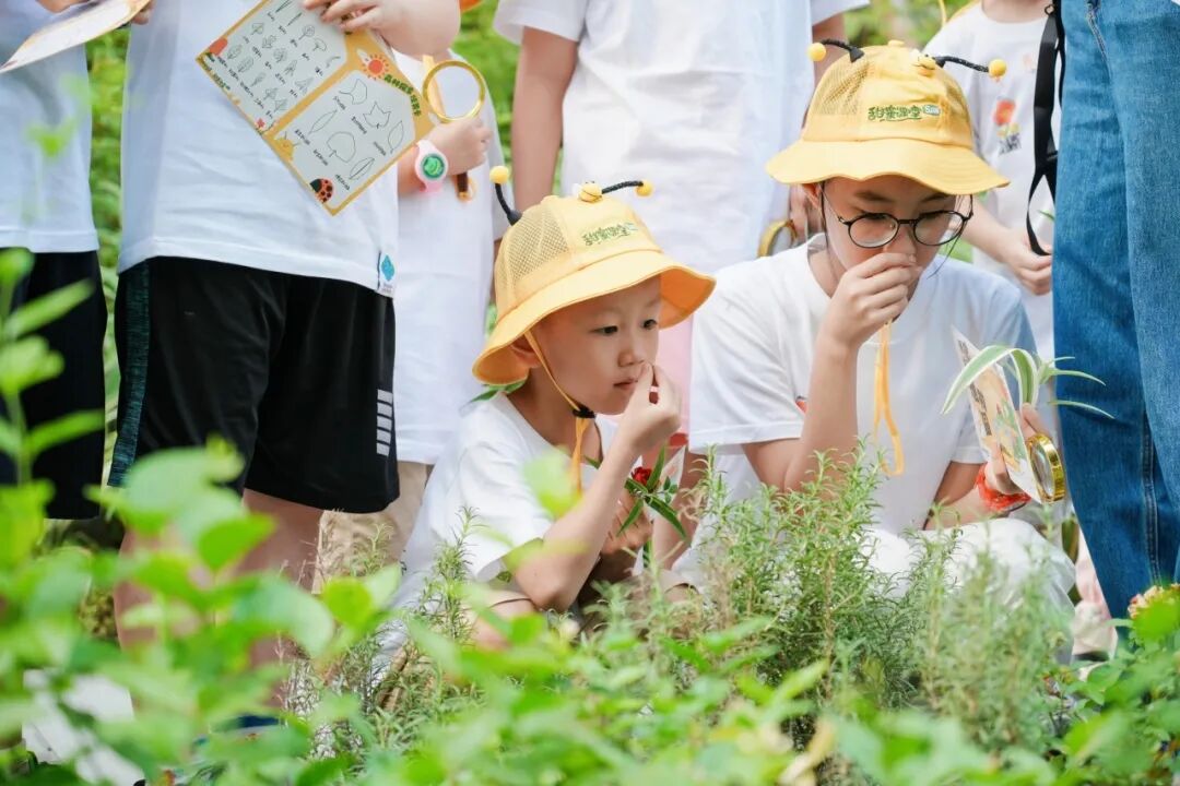 城市兴交付Vol.44|住进自然里，闪耀生活的光@星图光年轩-130