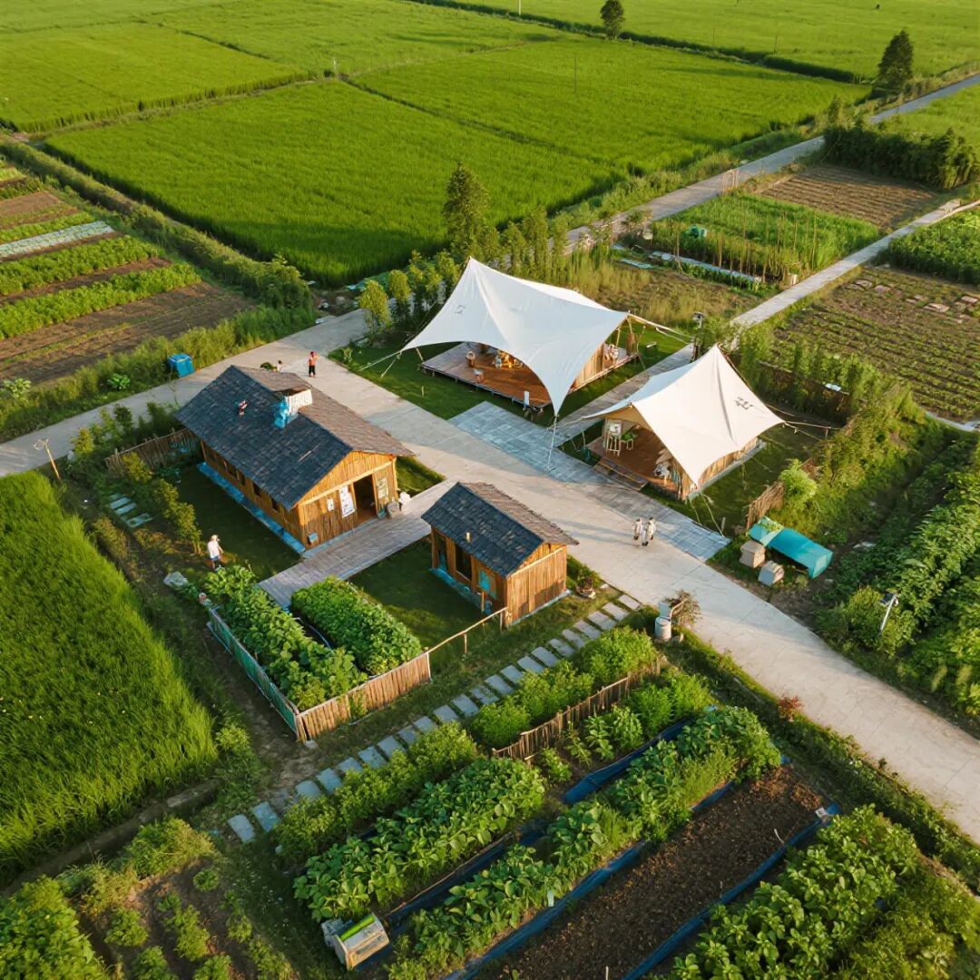 【自然疗愈·亲子研学】华中秘境|打造沉浸式中医药主题亲子营地：种植体验×手作工坊×节气课程全案解析-4