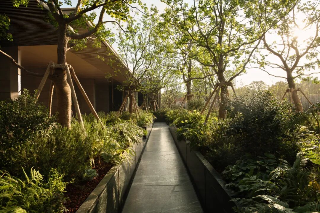 星合·晋墅丨中国苏州-36