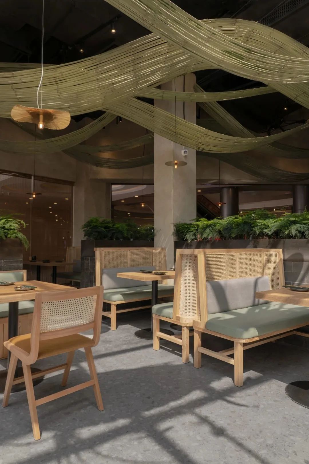 十二泰猪·星马泰料理品牌店丨中国清远丨梵山构造设计事务所-0