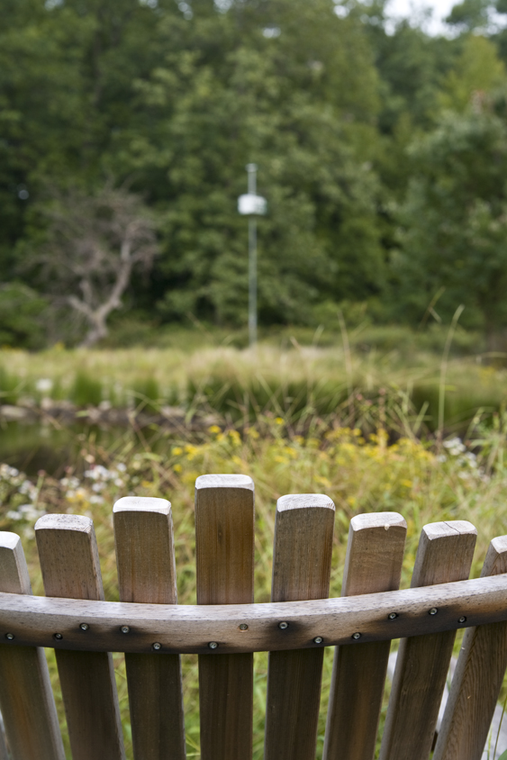 派克郡百年农舍的优雅新生-17