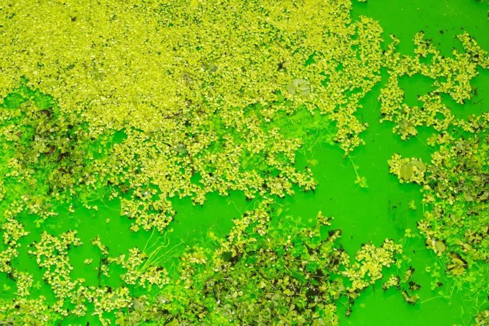 《生命》·融入自然的艺术展览丨Olafur Eliasson-52