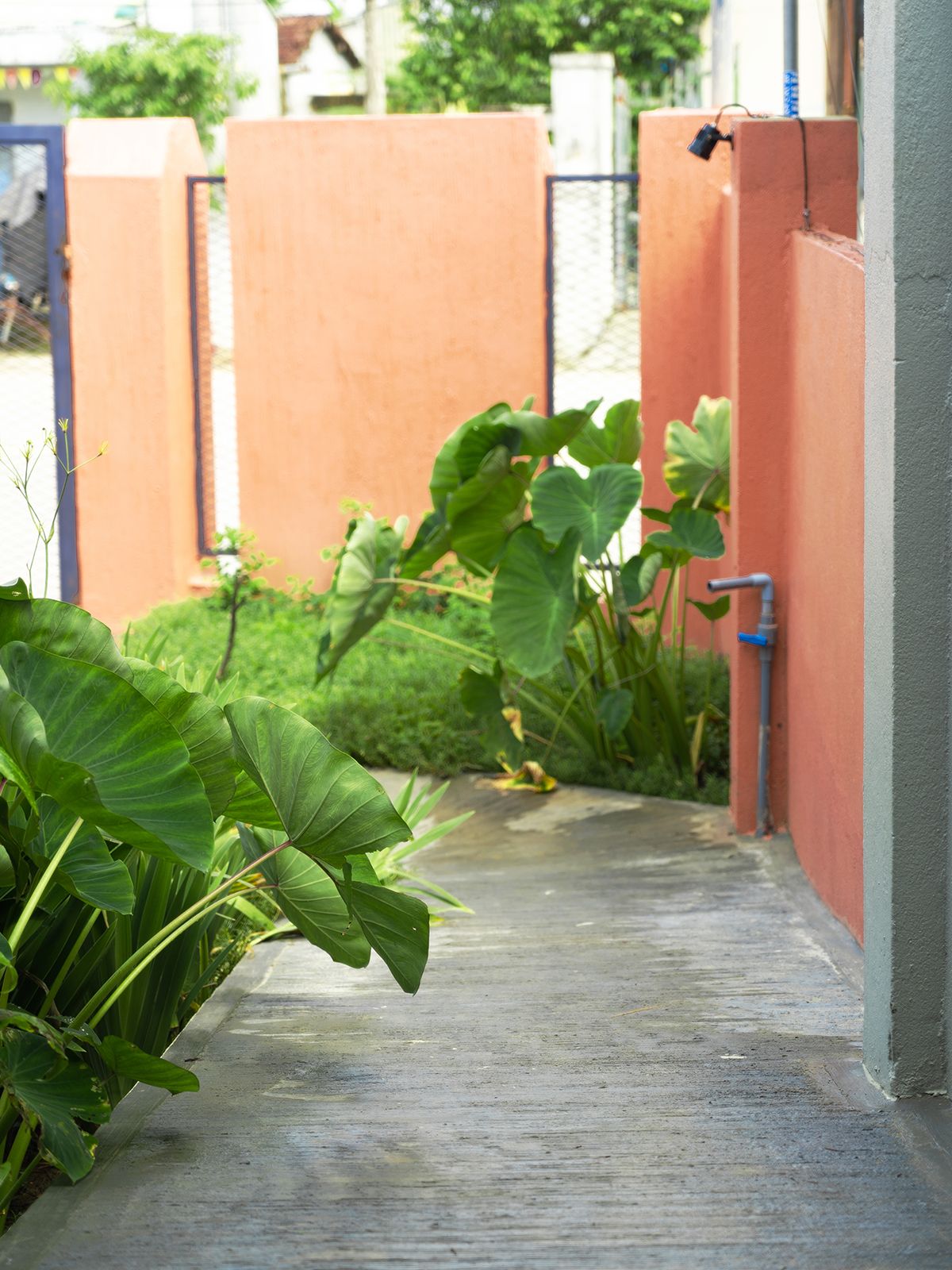 Nhà bà Ngoại（传统与现代共生之家）-22