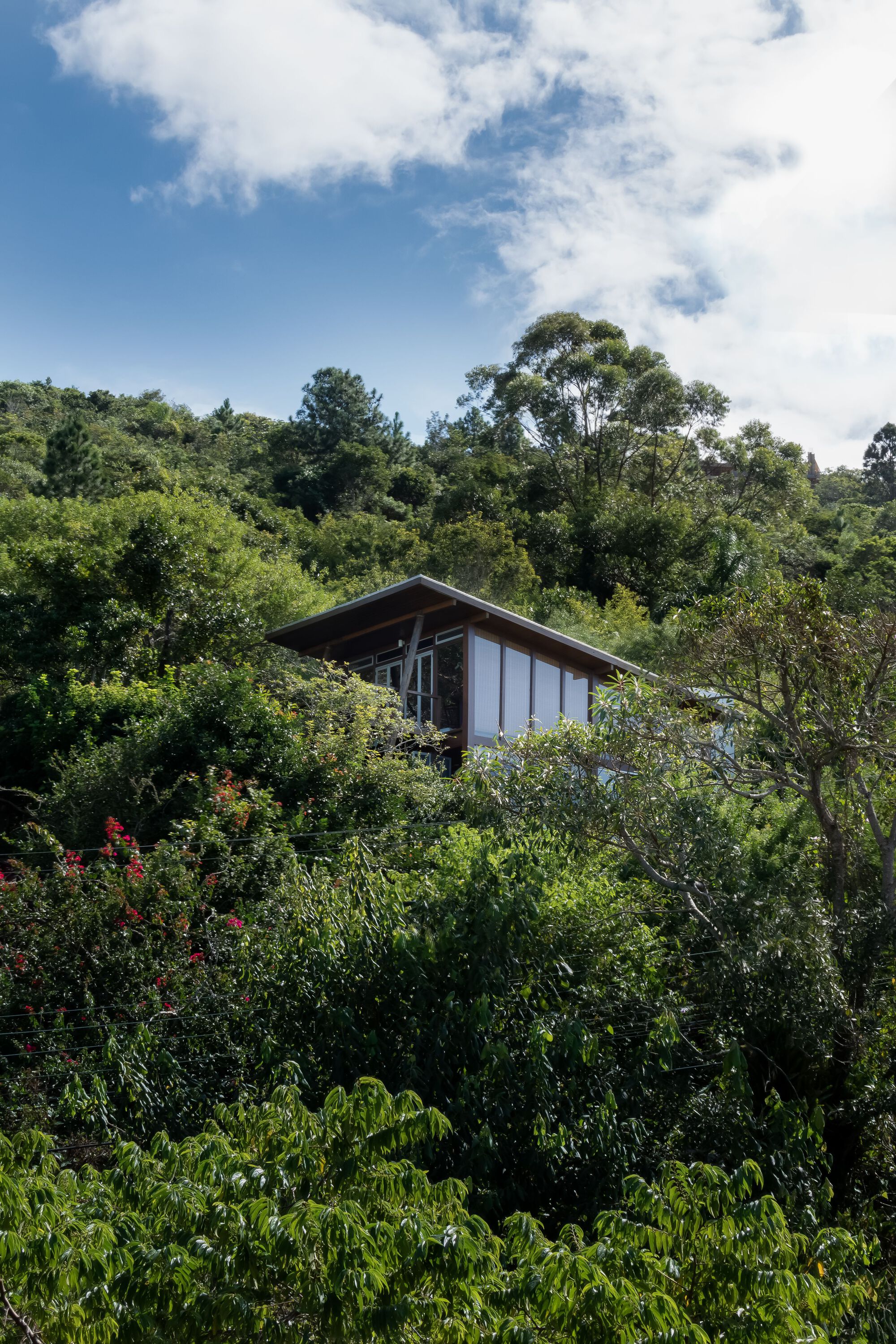 Casa da Silveira 住宅翻新与扩建丨巴西丨Trika Arquitetura-47