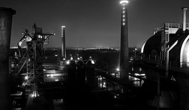 “老虎与乌龟”丨德国丨德国艺术家乌尔里希·根茨和海克·穆特-88