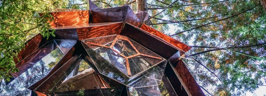 森林中的松果屋，体验 360 度的自然美景-5