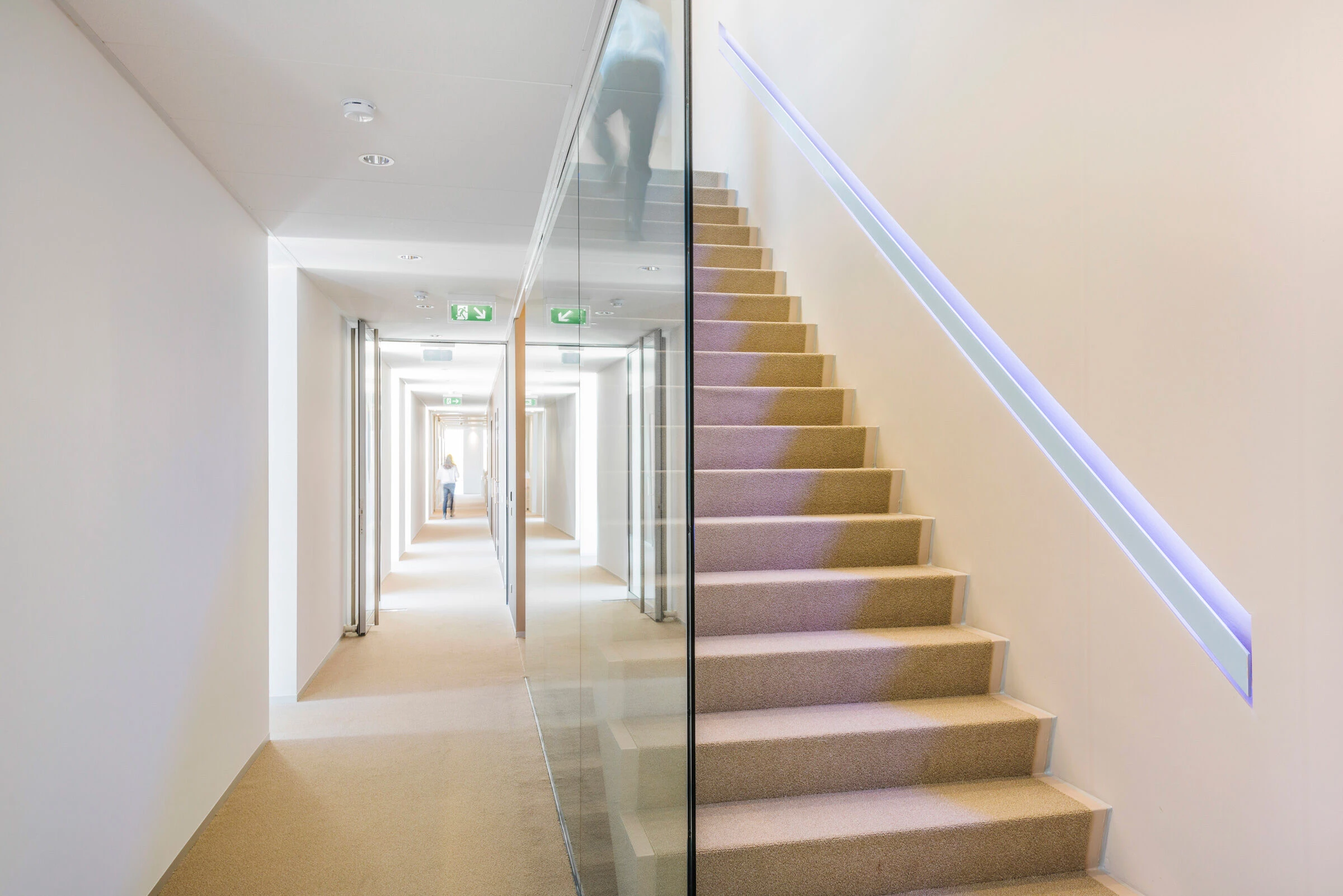 Nedelko 办公室和仓库-23