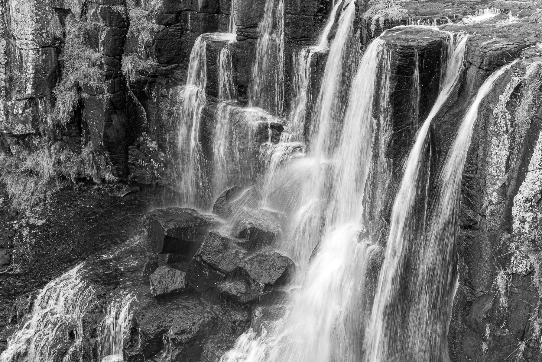 Autumn Monochromes in Anaiwan and Kamilaroi Country-1
