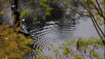 泰吉•同诚潼州府第丨中国重庆丨因澈景观-42