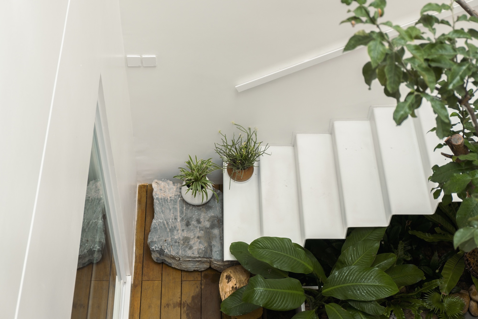 巴普的房子丨越南丨90+2 architects-36