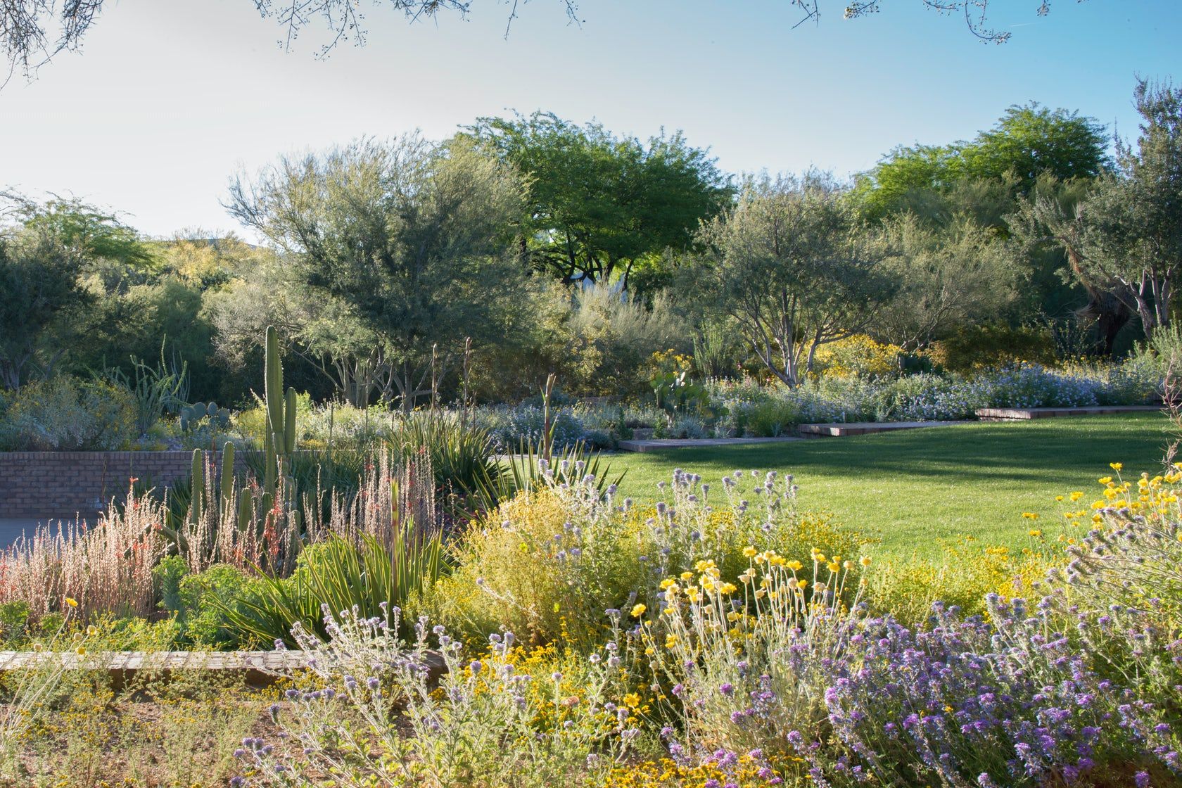 沙漠梦幻家园 | Camelback 山丘的生态景观设计-37