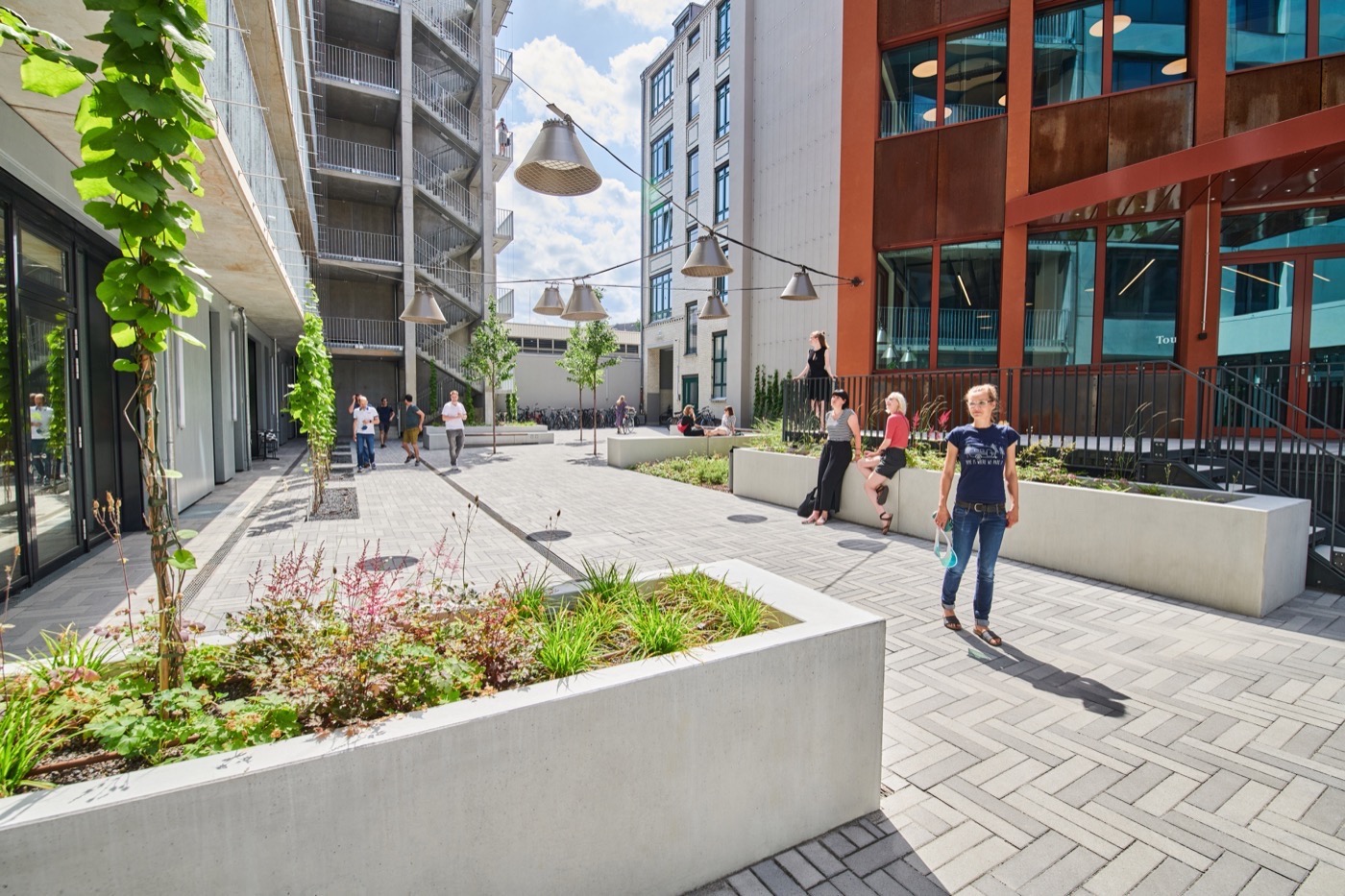 柏林 Kreuzberg 商业庭院与屋顶露台丨德国柏林丨Thomas Hillig Architekten-3