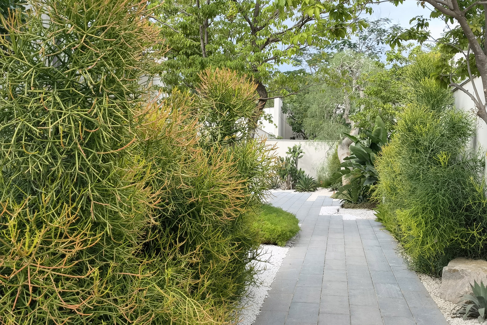 阿那亚三亚南花园丨中国三亚丨Z’scape致舍景观-210