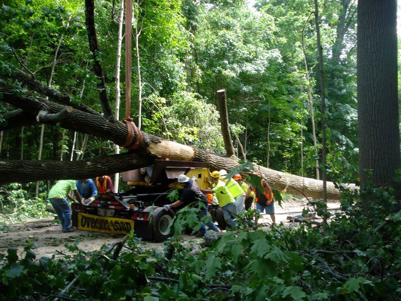 金丝楠木打造的艺术空间·Chop Stick 公园公共休息室-18
