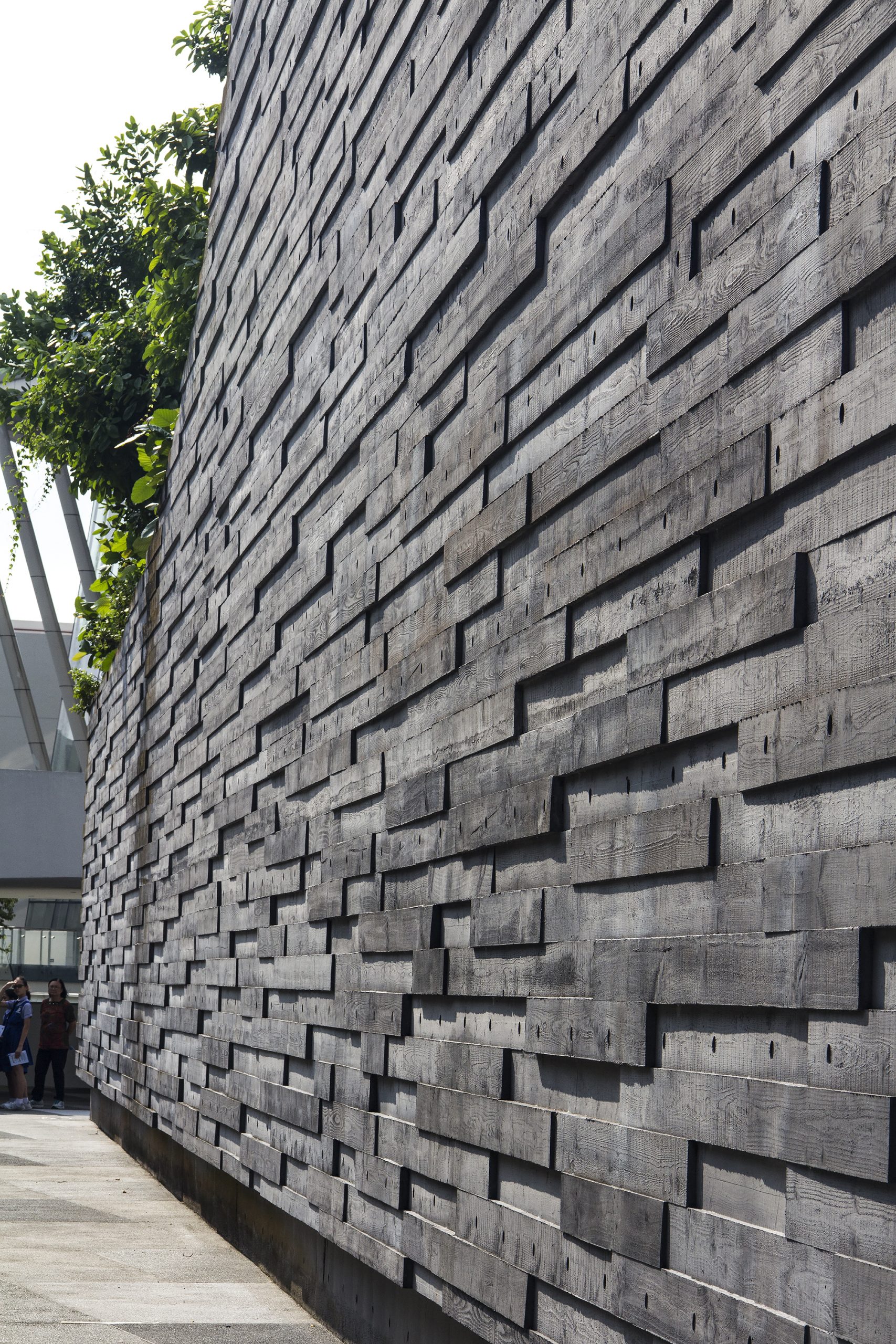 李光前自然历史博物馆丨新加坡丨Tierra Design (S) Pte Ltd-12