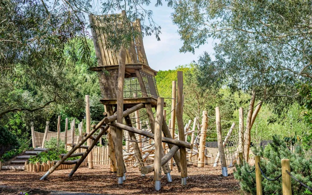 英国皇家植物园儿童花园丨Suzie Jewell-50