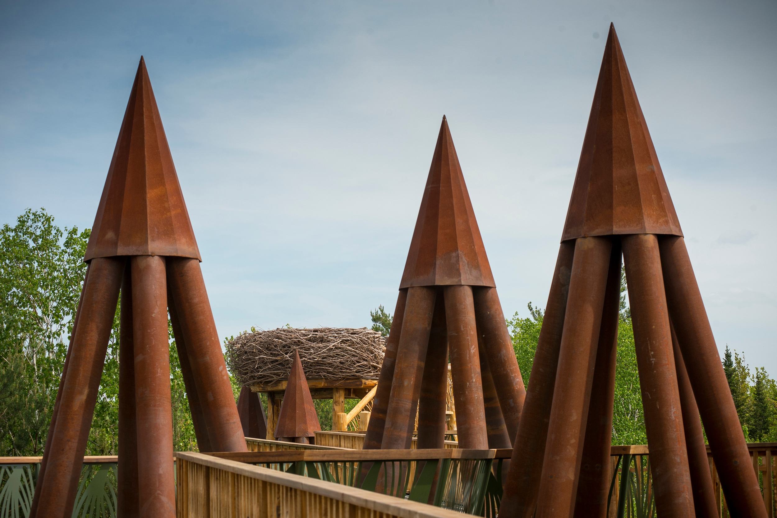 野性漫步 · 融入自然的高空步道设计-13