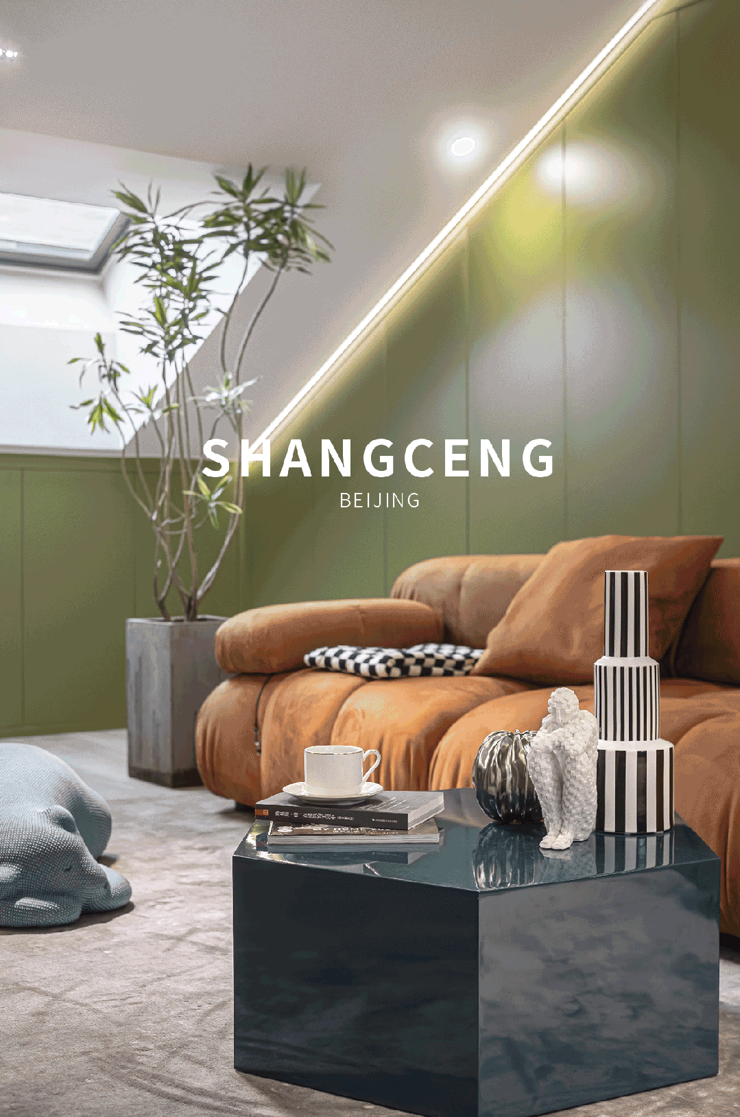 尚层北分实景-0