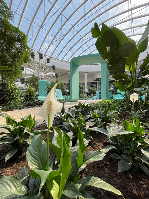 未明确提及丨乌克兰基辅丨未明确体现-39