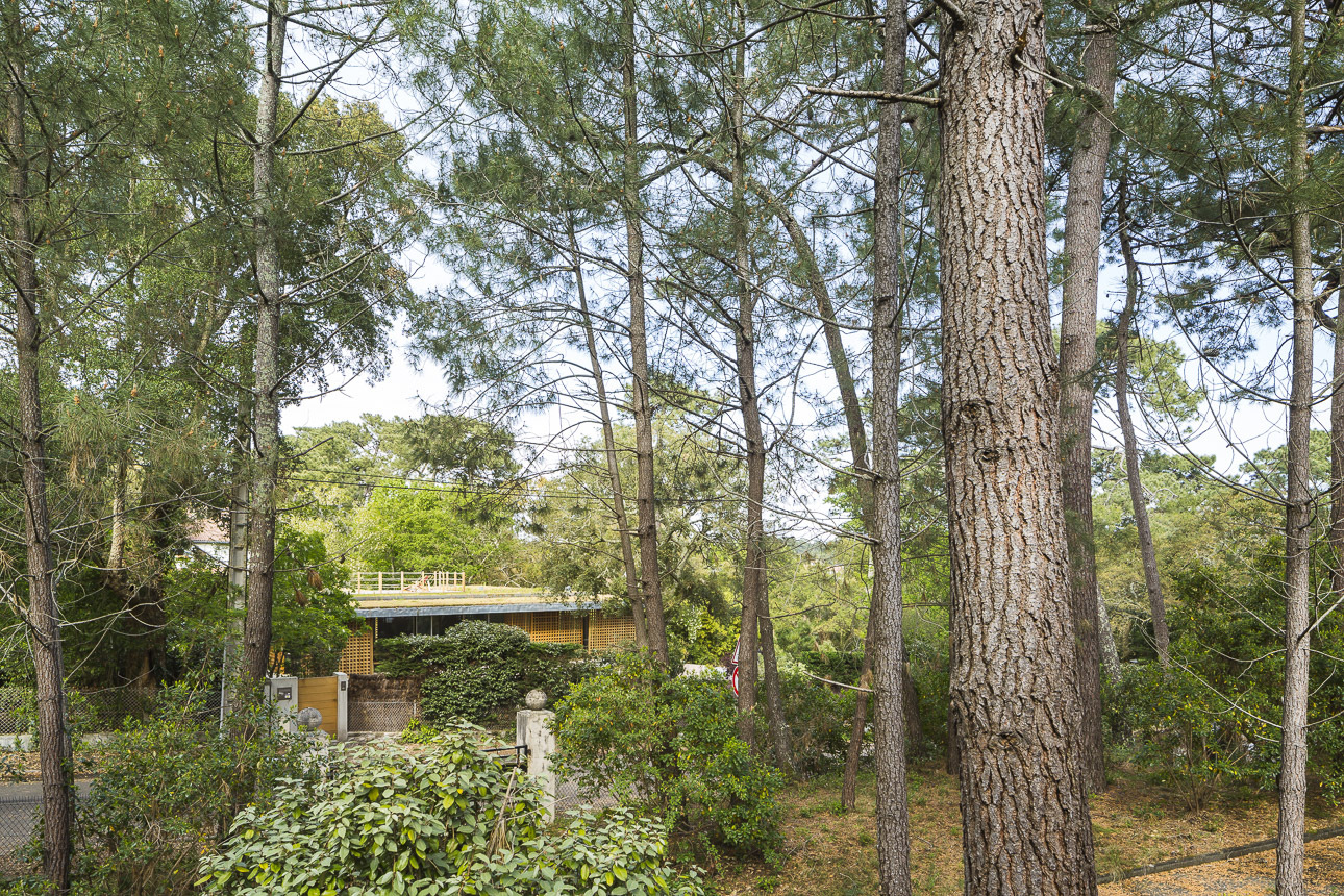 南海岸兰德斯豪宅改造-40