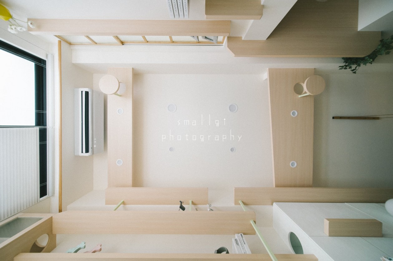 一亩绿设计 | 猫咪的天空之城-0