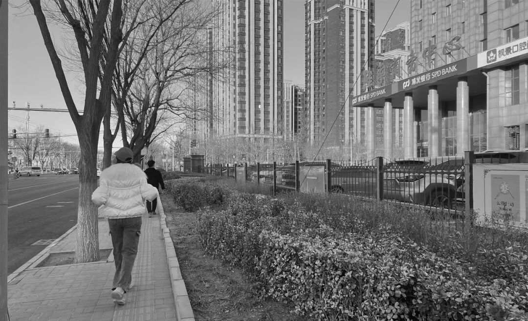 花开梨园·云景寻芳·2024年通州区花园式街区建设工程（设计）丨中国通州丨笛东规划设计(北京)股份有限公司-63