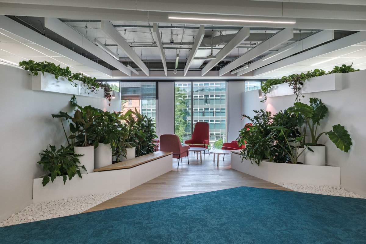 波兰 Skanska Krakow 办公室 · 绿色环绕,功能丰富的创新工作环境-17