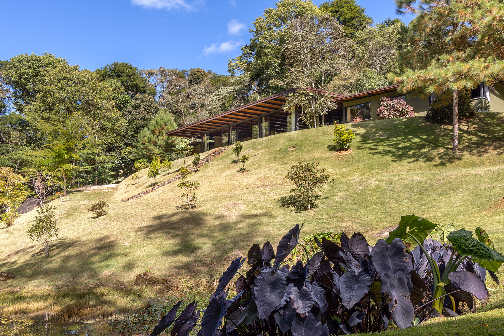 Videiras山谷中的住宅,巴西 / Rodrigo Simão Arquitetura-79