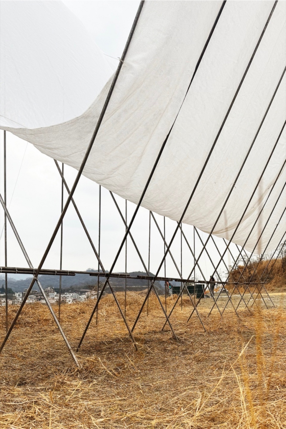 西班牙地平线展馆（Horizon Pavilion）丨厄瓜多尔丨Eletres Studio-37