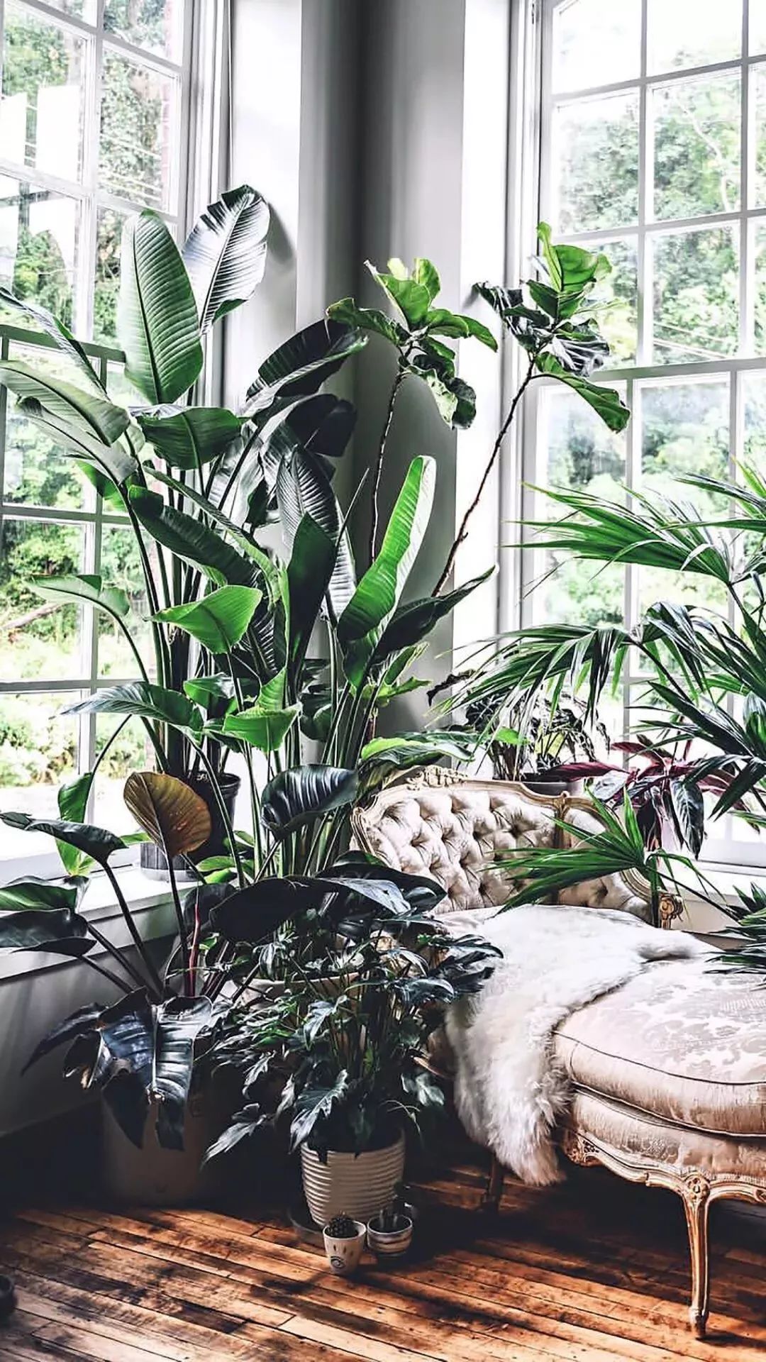 软装搭配六大法宝,轻松打造理想空间-62