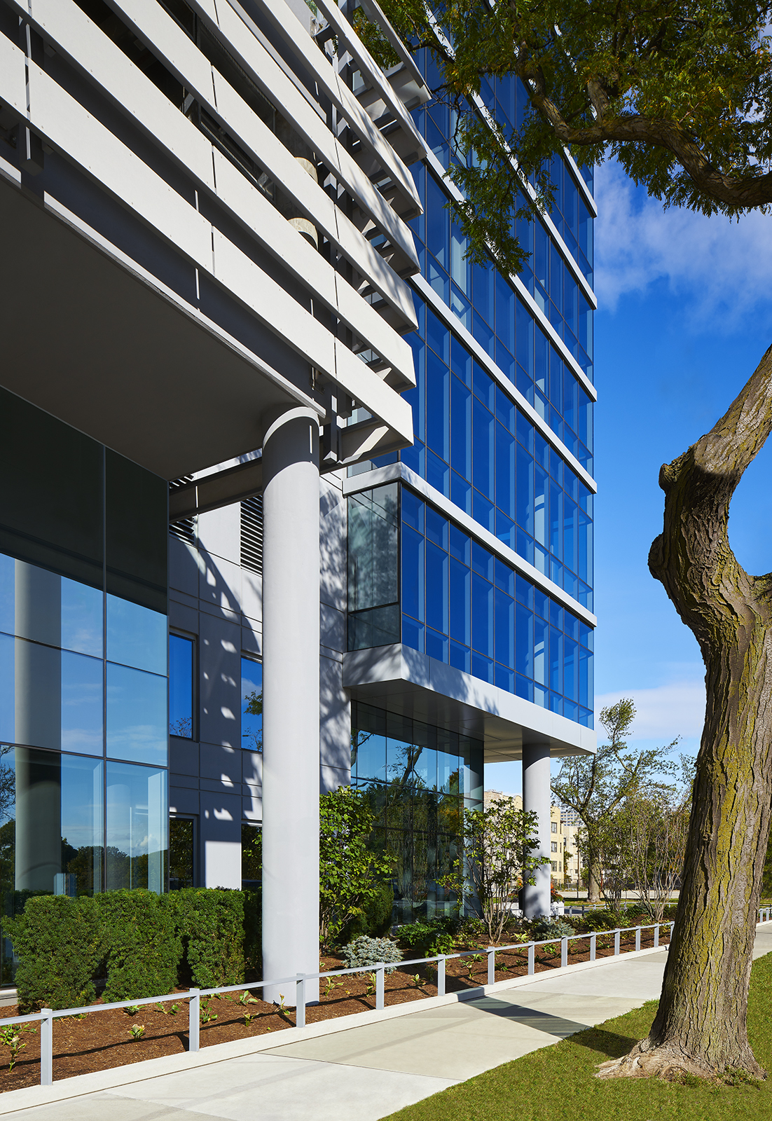 上城区811号(这里Eight Eleven推测是地址811号,具体意思需结合实际语境更精准判断 ,若与实际不符,请按规范提供错误说明) 丨HARTSHORNE PLUNKARD ARCHITECTURE-1