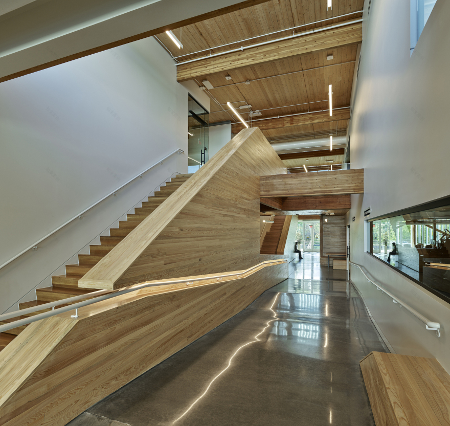 绿道办公园区改造设计丨美国阿肯色-16