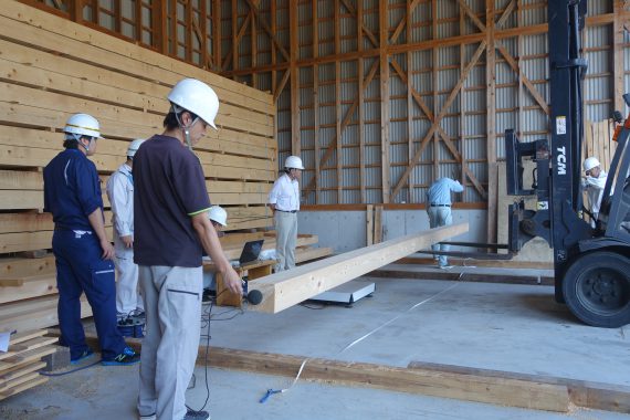 久山幼稚园木材杨氏系数确认-4