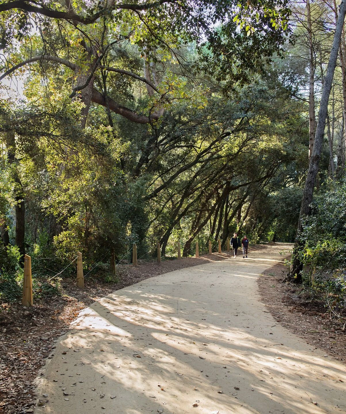 Volpelleres 森林公园丨西班牙巴塞罗那丨Hiha 工作室-6