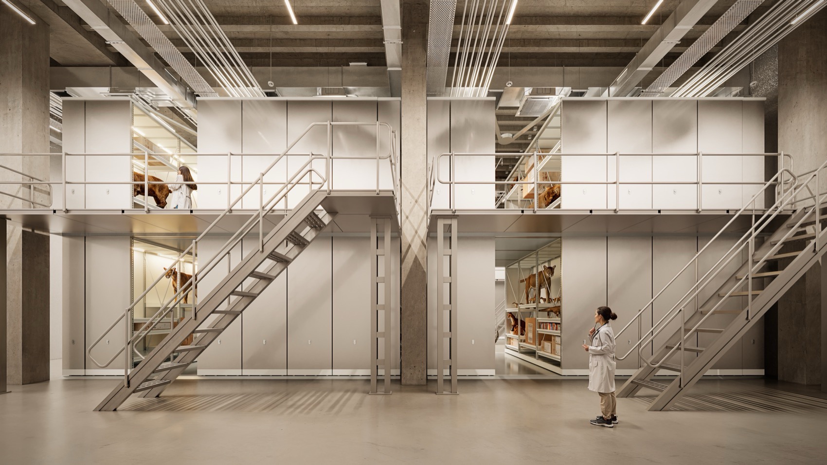 德布勒森自然历史博物馆藏品中心丨匈牙利-28