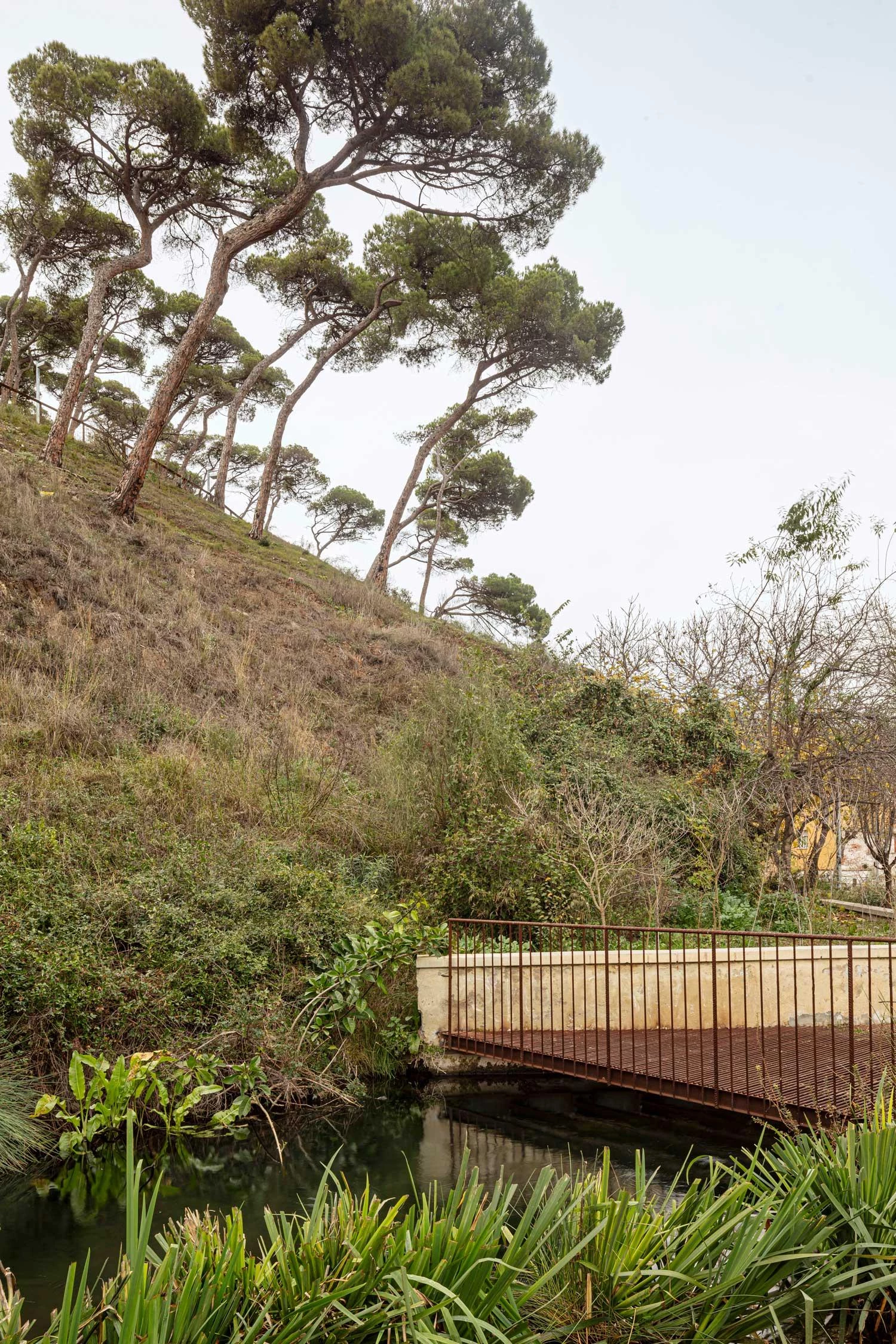 Rec Comtal 环境修复丨西班牙巴塞罗那丨Adrià Goula-9