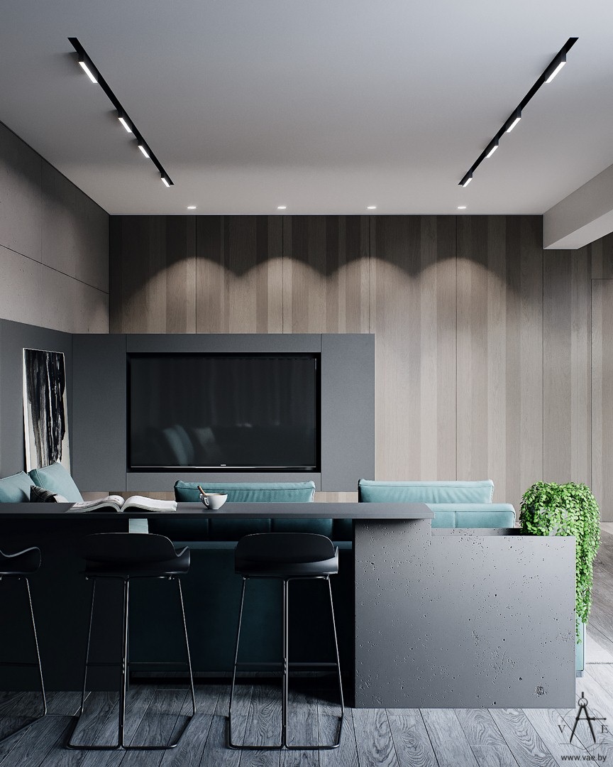 240㎡白俄罗斯现代风独立住宅  VAE设计-2