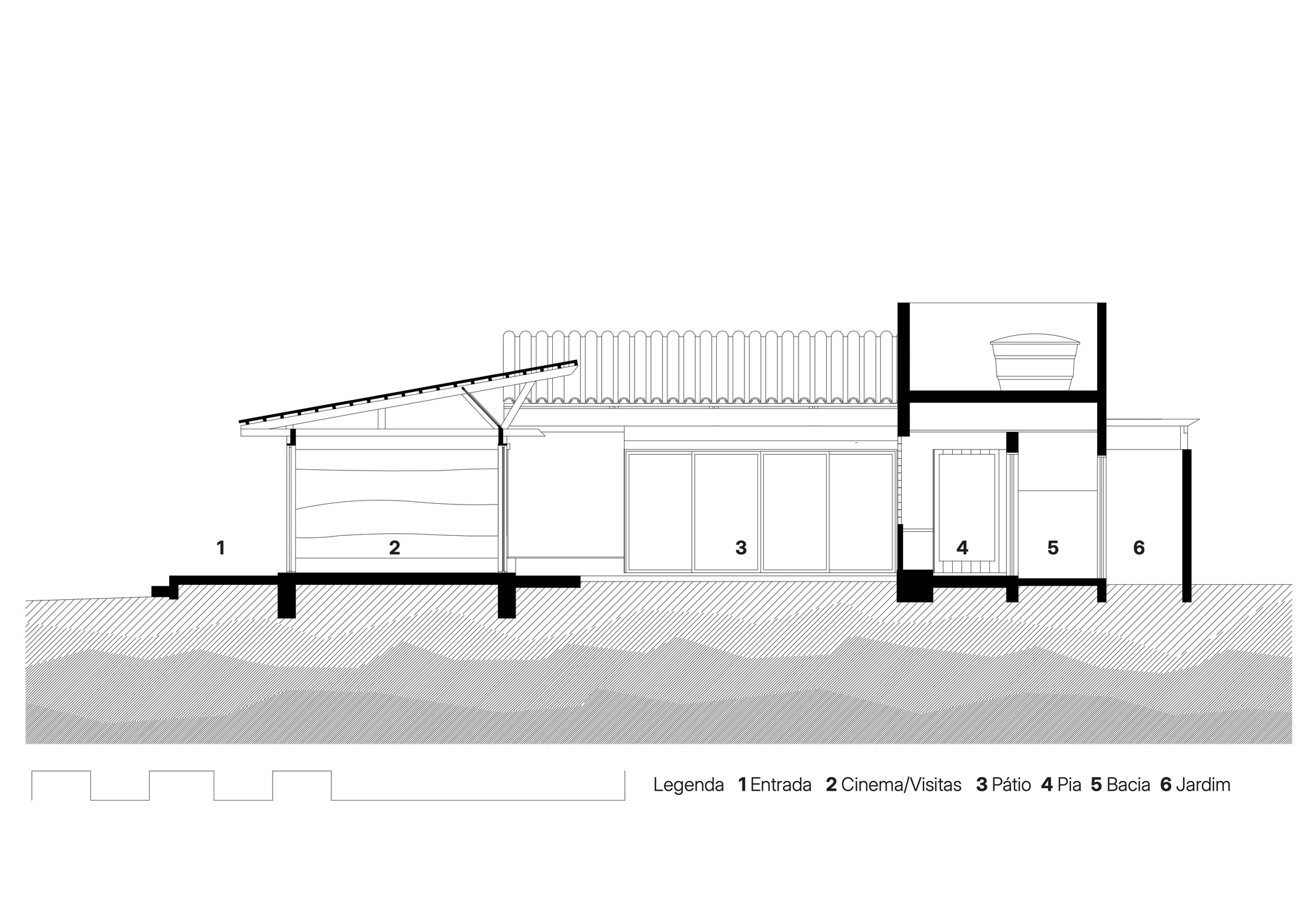 丨巴西伯南布哥丨AzulPitanga-50