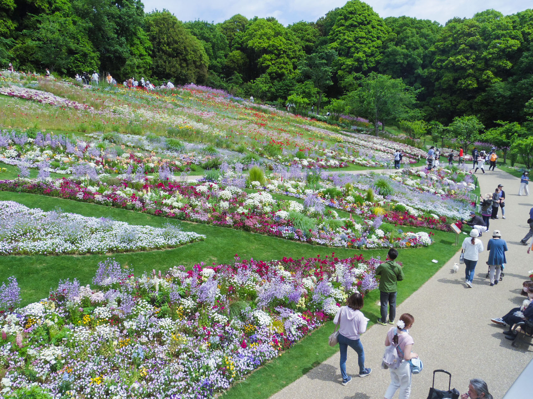 日本里山花园丨户田芳树风景计画-35