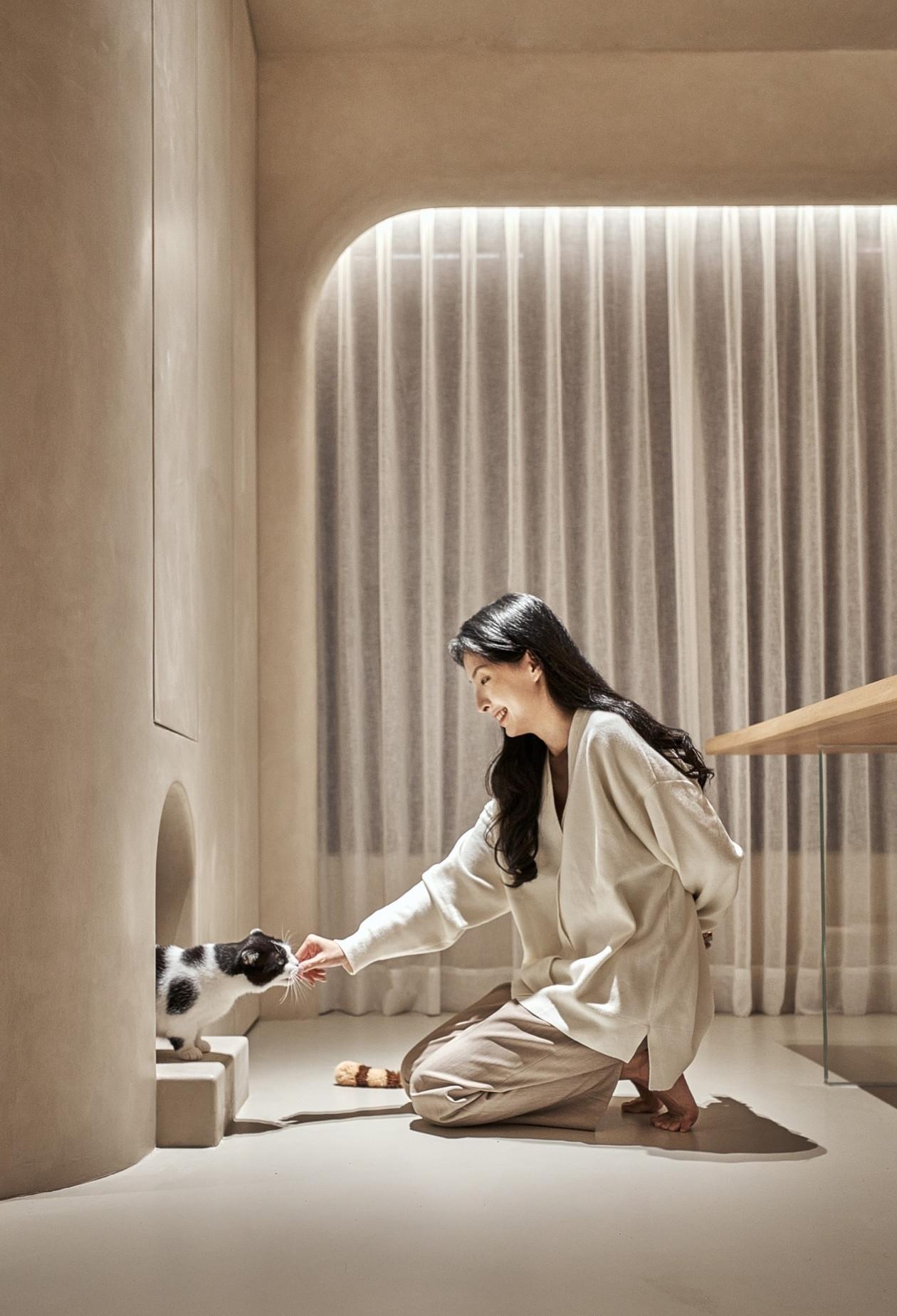 浩室设计 | 猫咪行为学-12