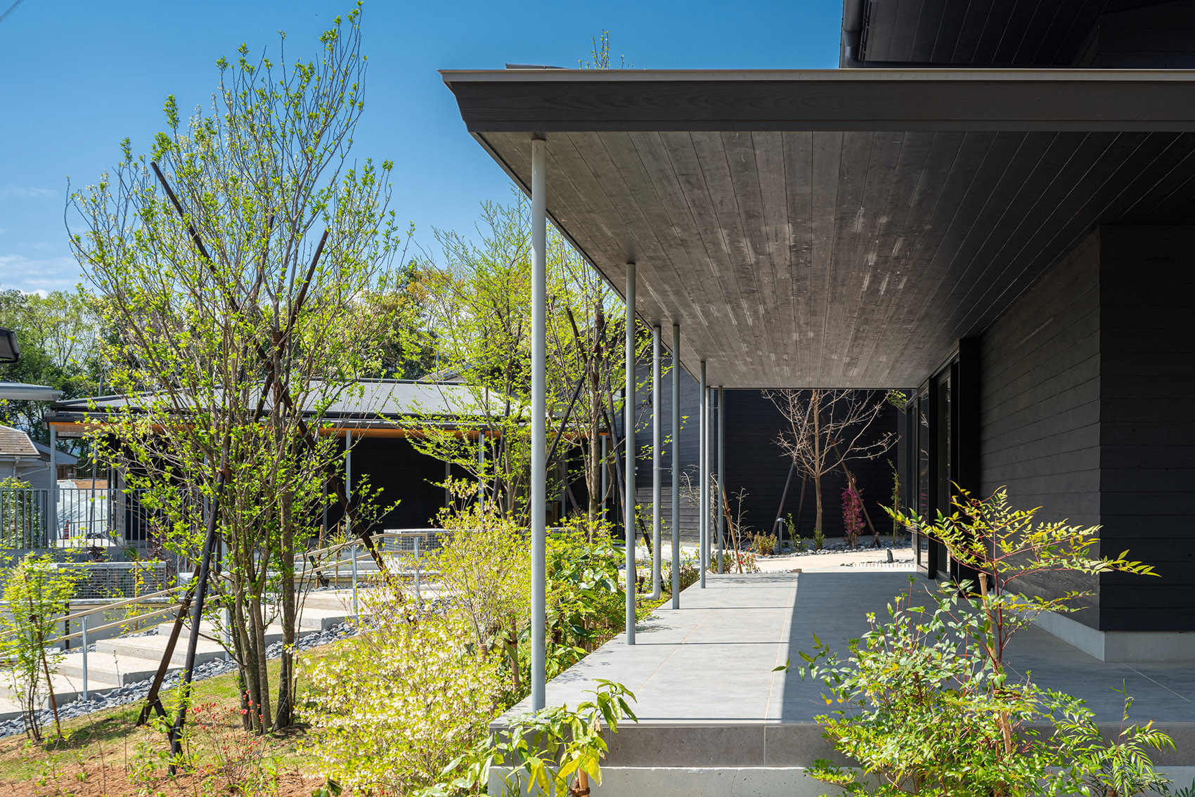 町田药师池公园“四季彩之森”游客中心丨日本-37