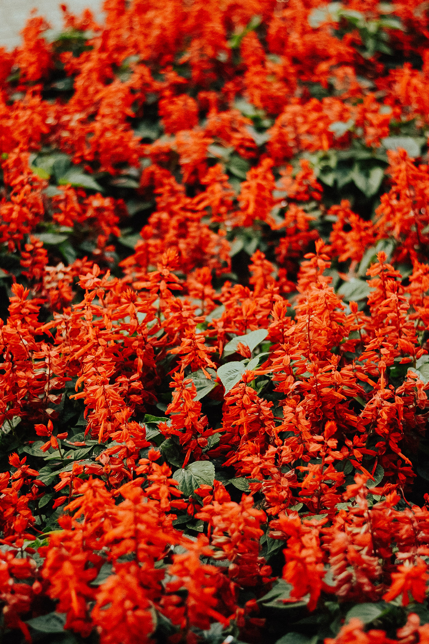 Anastasiya Gushchina丨公寓建筑丨RIO GRANDE DO SUL-9