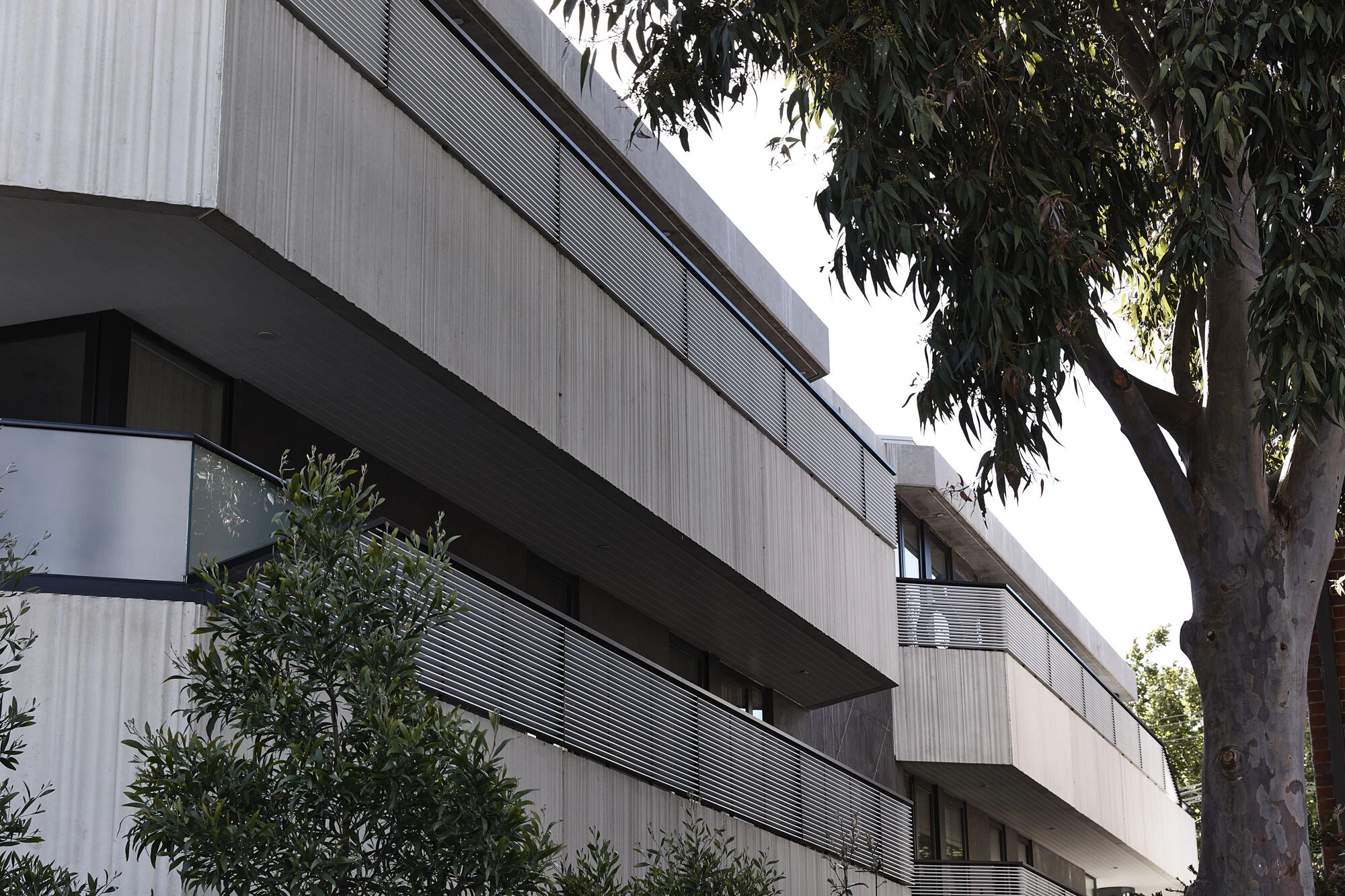 墨尔本 Adela 公寓丨澳大利亚丨Jost Architects-83