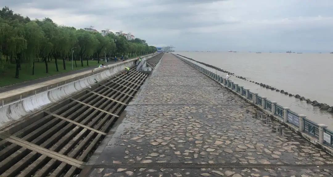 宝山滨江(一期)岸线的生态化与市民化转型-7