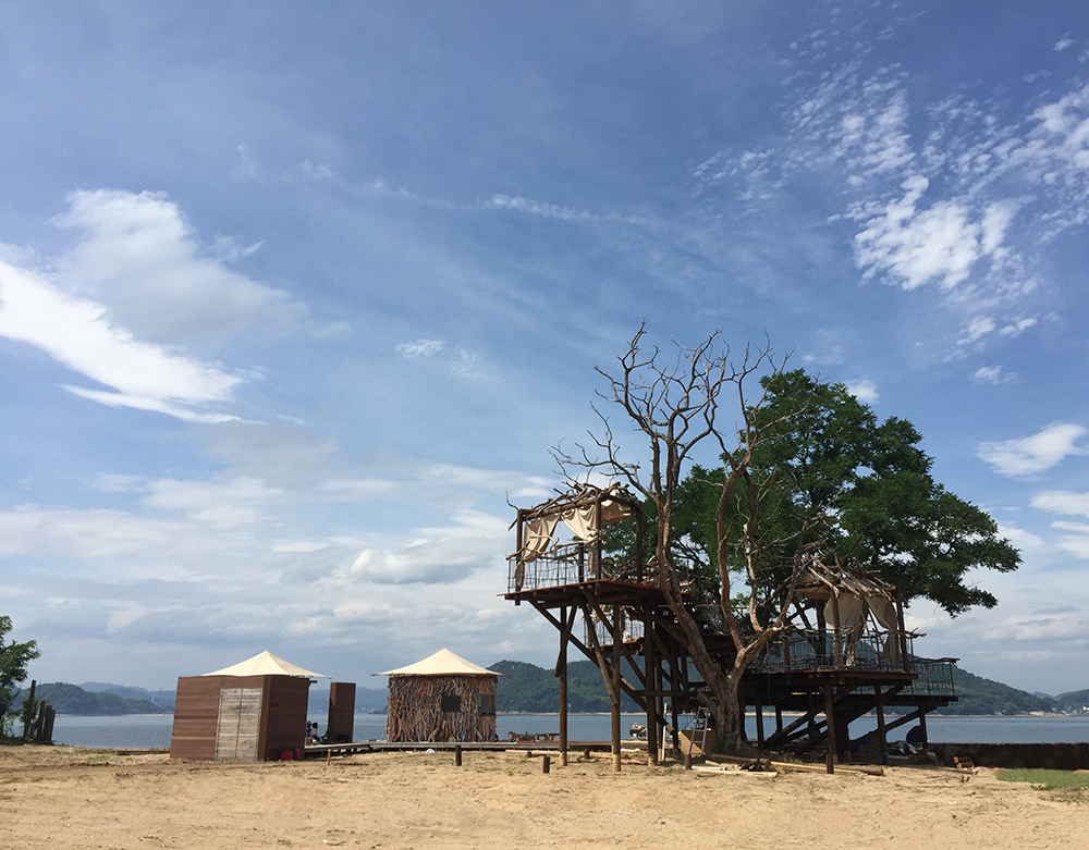 Tree terrace on uninhabited island-0