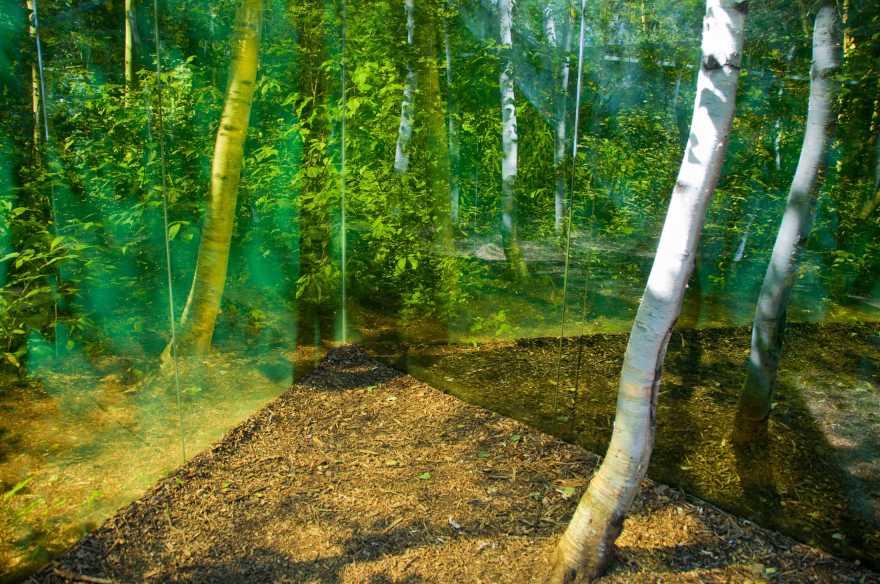 2019 加拿大国际花园节 | 彩色“岩石”结构装置引人入胜-114